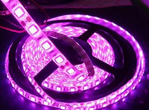 LED Strip Lights 5050 Pink - Click Image to Close